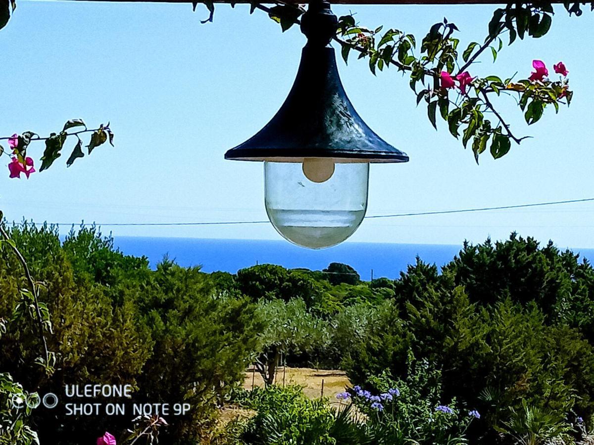Arcamyrtus Konuk evi Alghero Dış mekan fotoğraf
