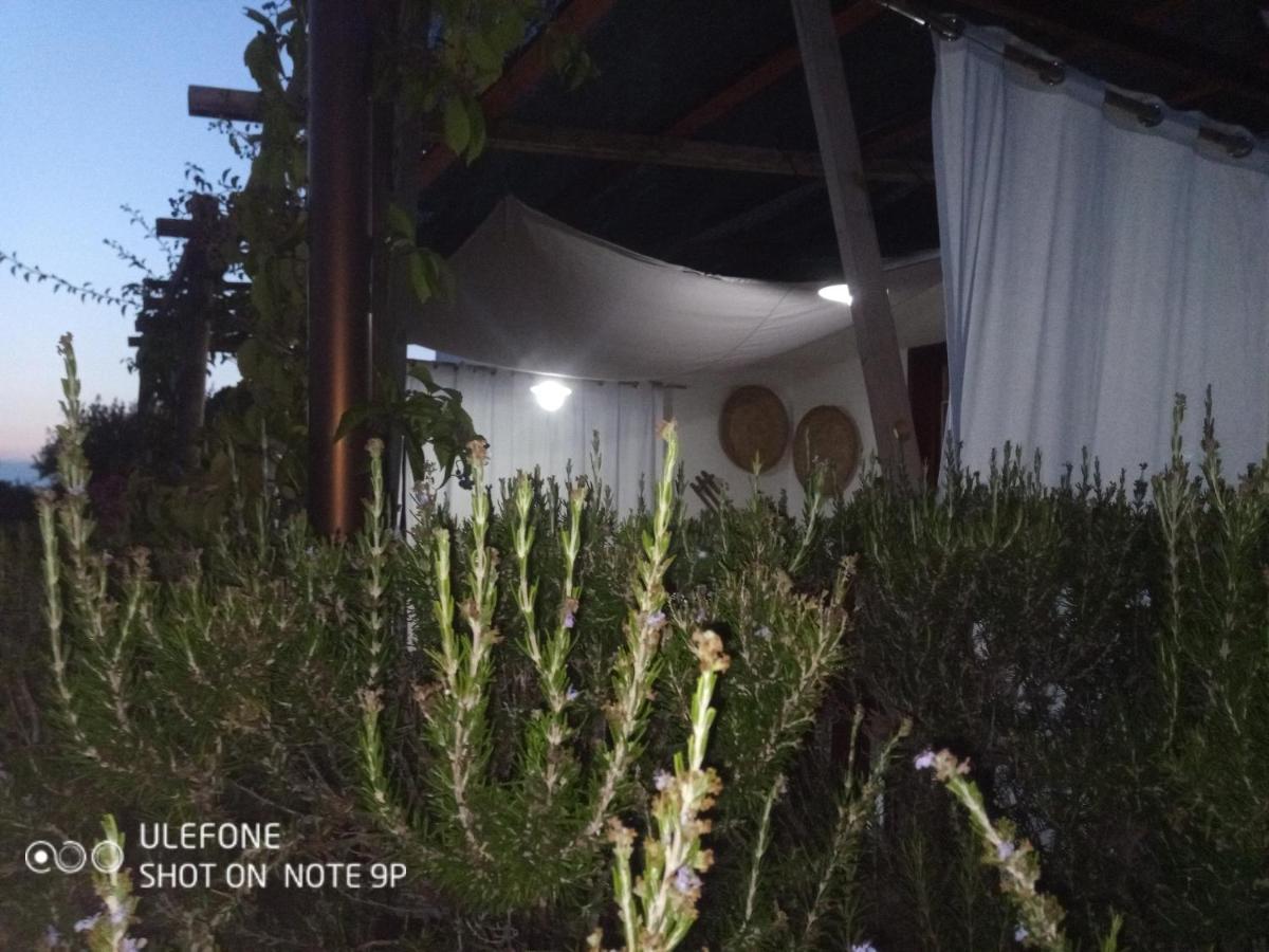 Arcamyrtus Konuk evi Alghero Dış mekan fotoğraf