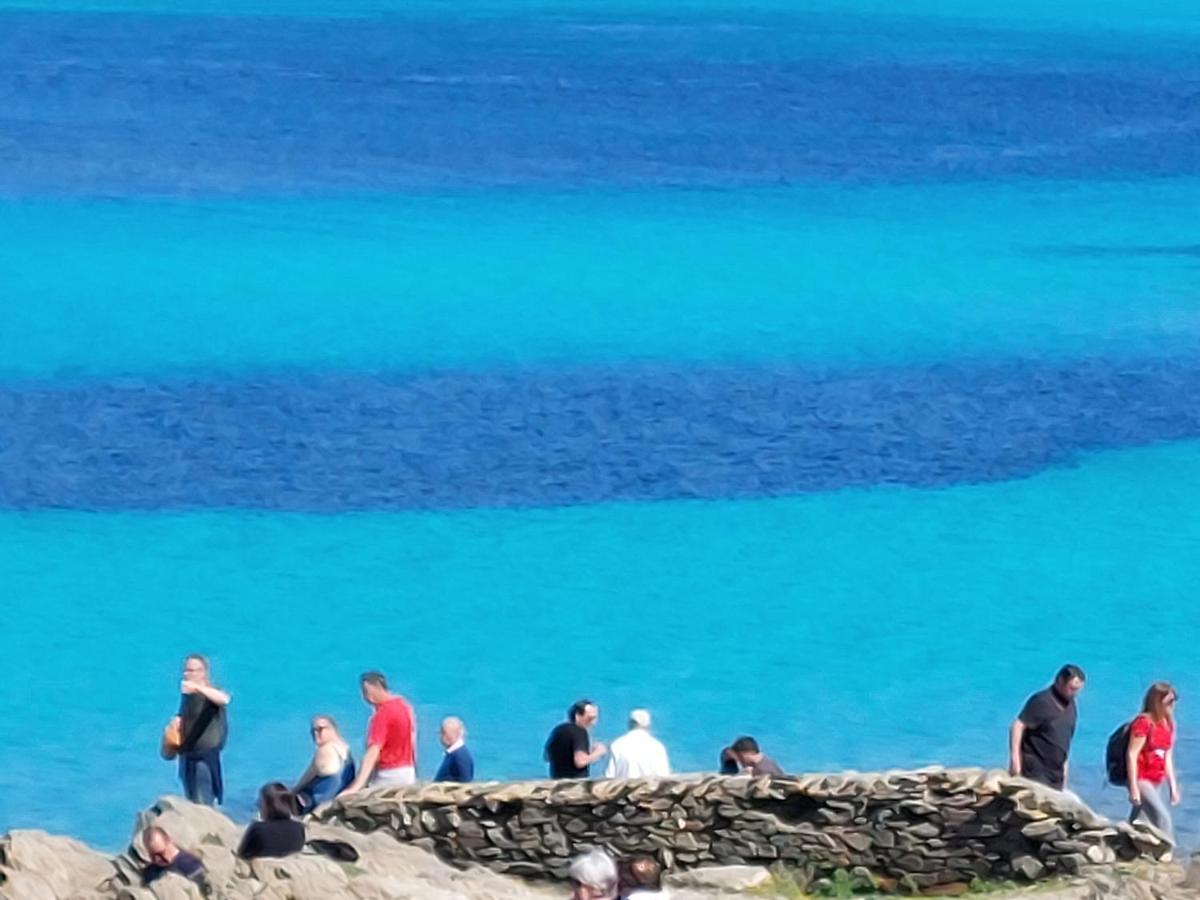 Arcamyrtus Konuk evi Alghero Dış mekan fotoğraf