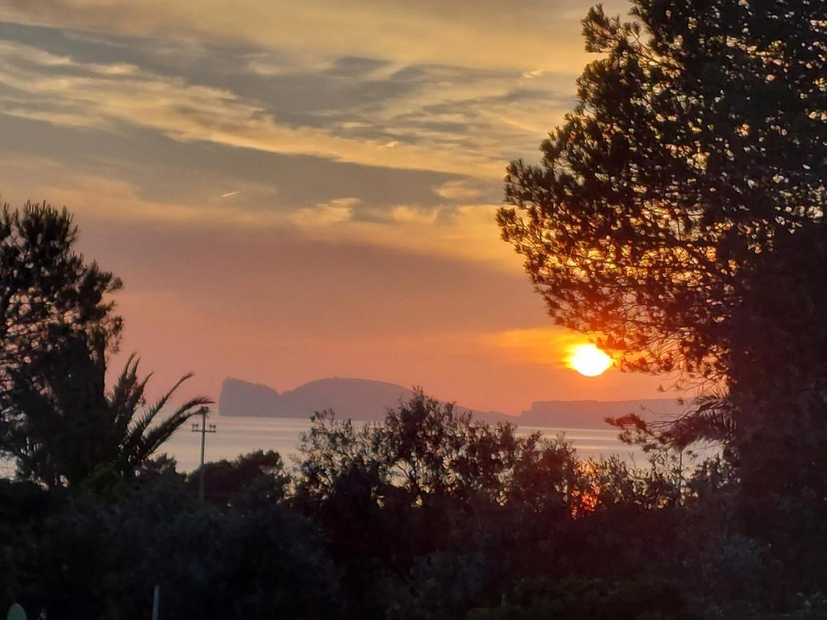 Arcamyrtus Konuk evi Alghero Dış mekan fotoğraf