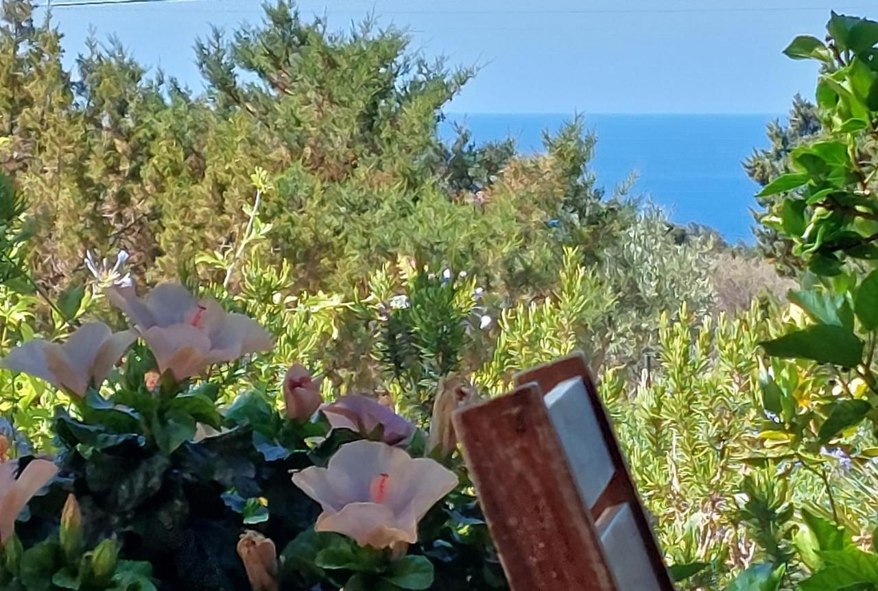 Arcamyrtus Konuk evi Alghero Dış mekan fotoğraf