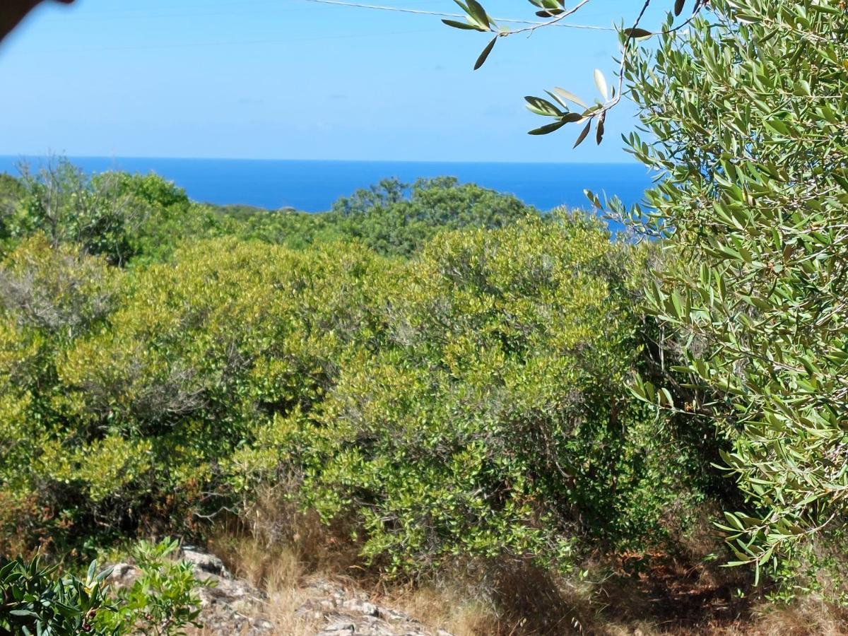 Arcamyrtus Konuk evi Alghero Dış mekan fotoğraf
