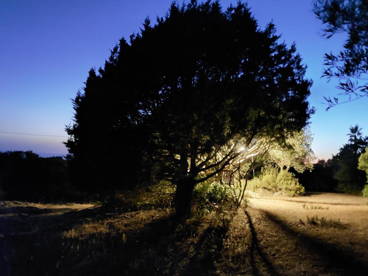 Arcamyrtus Konuk evi Alghero Dış mekan fotoğraf