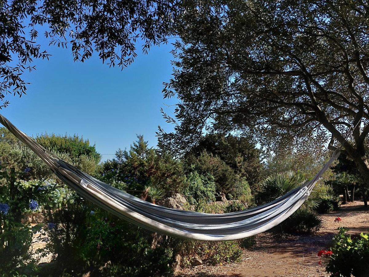 Arcamyrtus Konuk evi Alghero Dış mekan fotoğraf