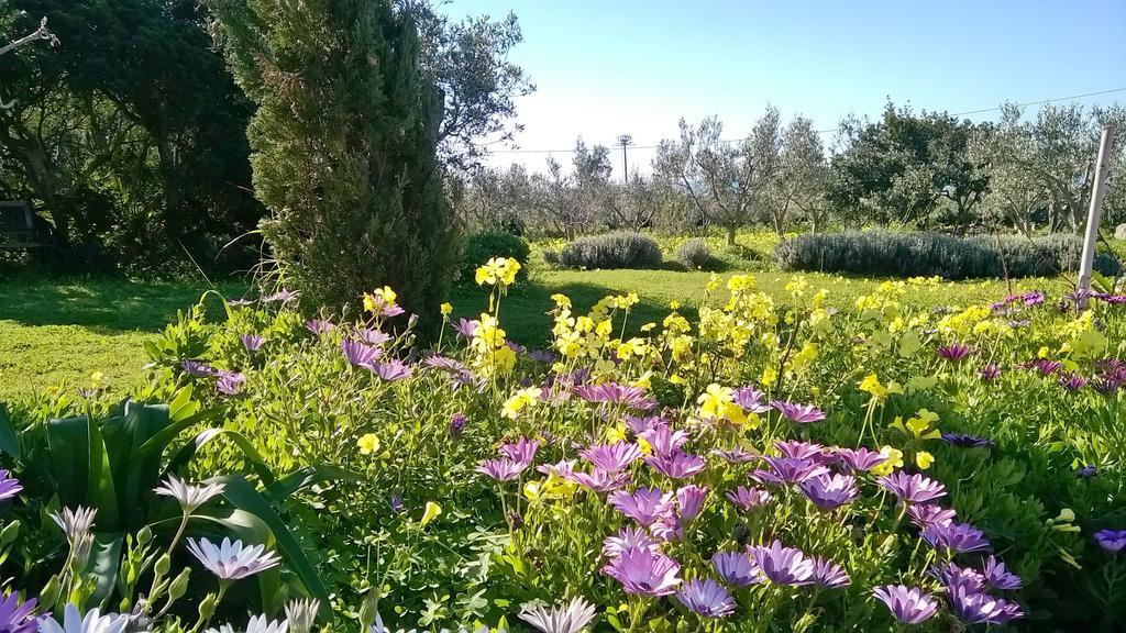 Arcamyrtus Konuk evi Alghero Dış mekan fotoğraf